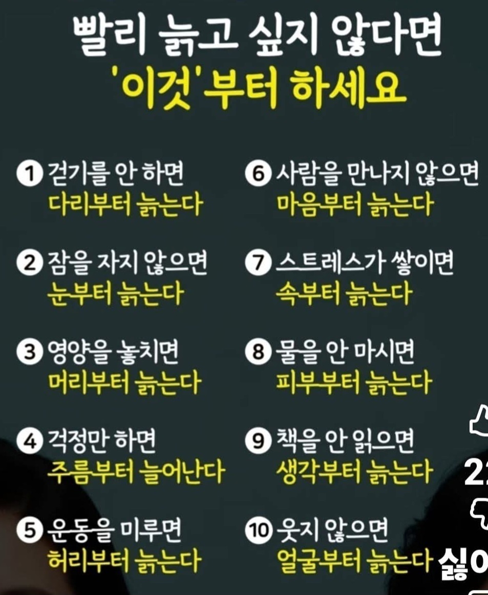 이미지 1
