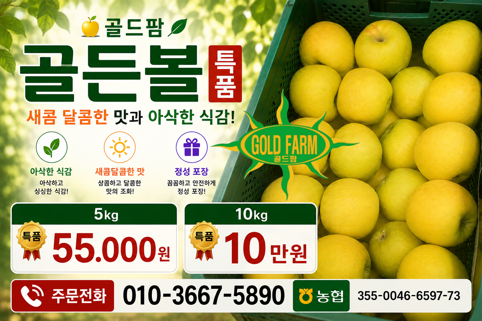 이미지 1